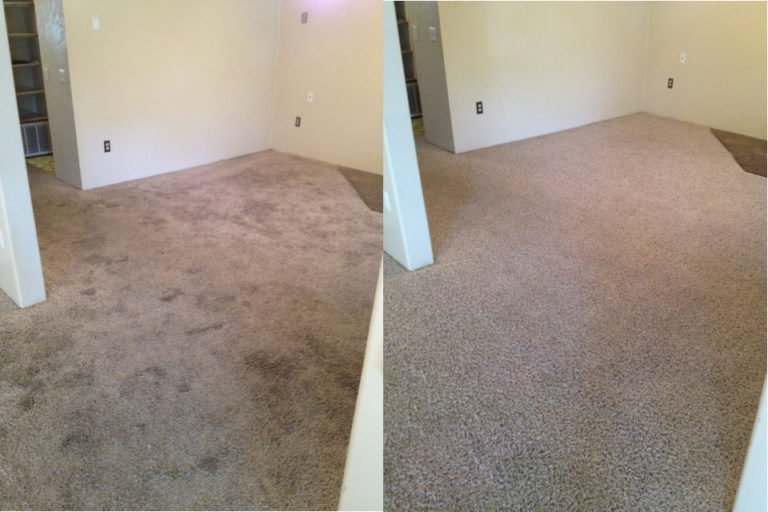 Cleaned Extremely Dirty Carpet DryMaster Systems, Inc.