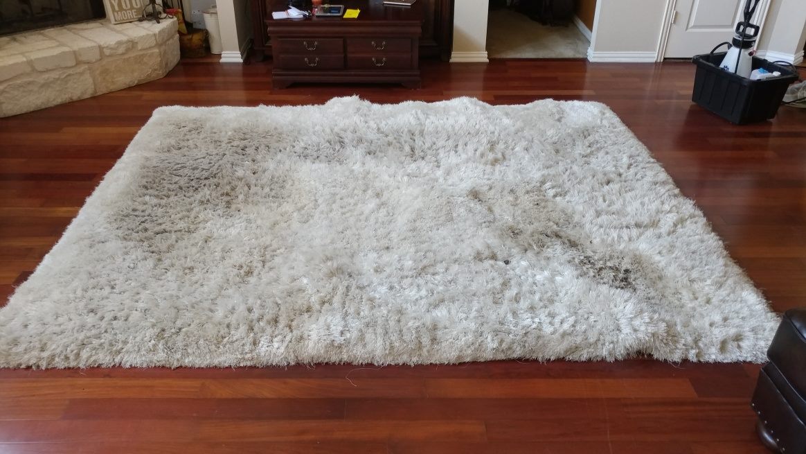 Shag Area Rug Cleaning - DryMaster Systems, Inc.