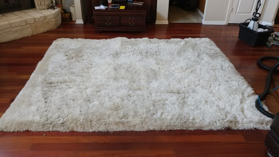 Shag Area Rug Cleaning - DryMaster Systems, Inc.