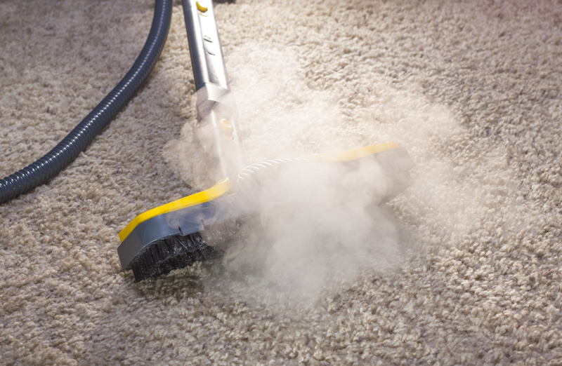 How To Dry Clean Your Carpets Yourself DIY Carpet Cleaning